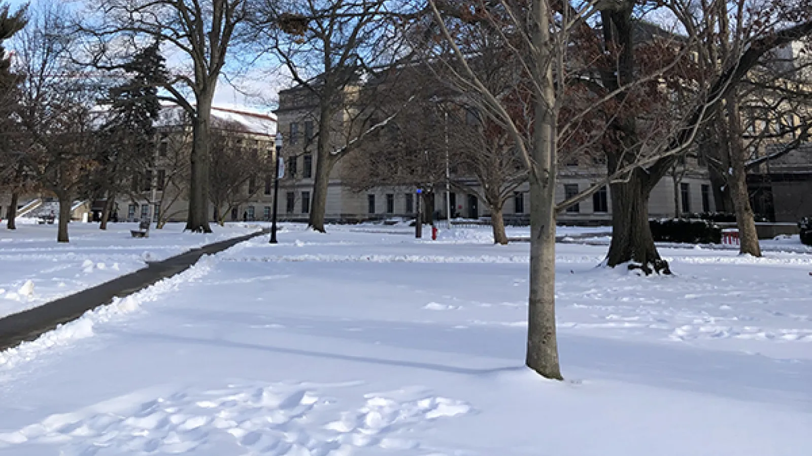 Snow on the Oval