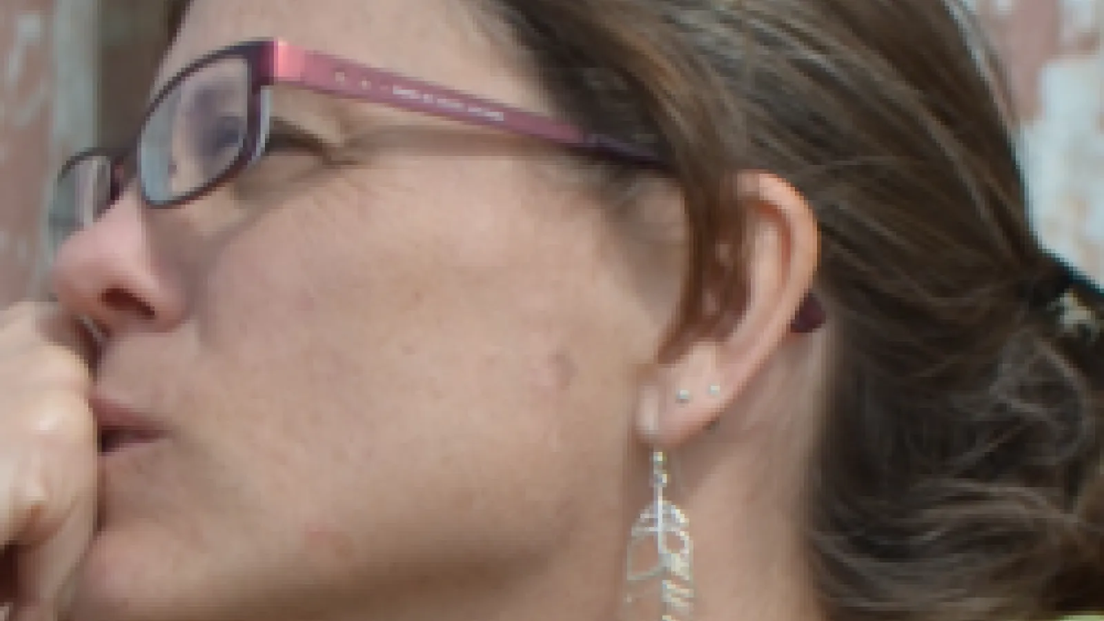 New CSEES Director Dr. Angela Brintlinger